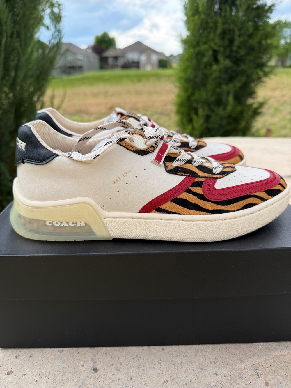 Coach City Sole Hair Court Sneakers NEW in box